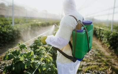 Pesticides and Food Safety – Murdering Tomorrow Today